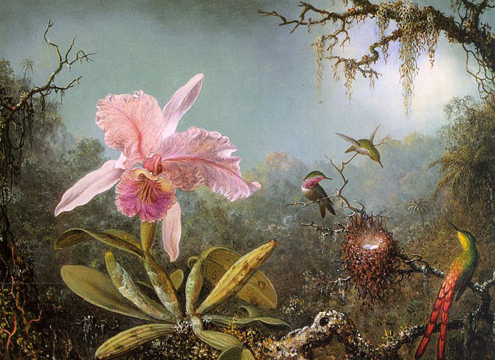 Cattleya Orchid And Three Brazilian Hummingbirds, 1871